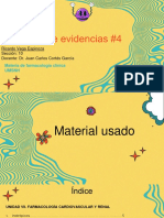 Portafolio de Evidencias #4