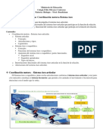 Sistema Óseo 12°