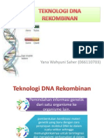 Teknologi Dna Rekombinan