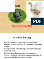 003 Anatomi Burung