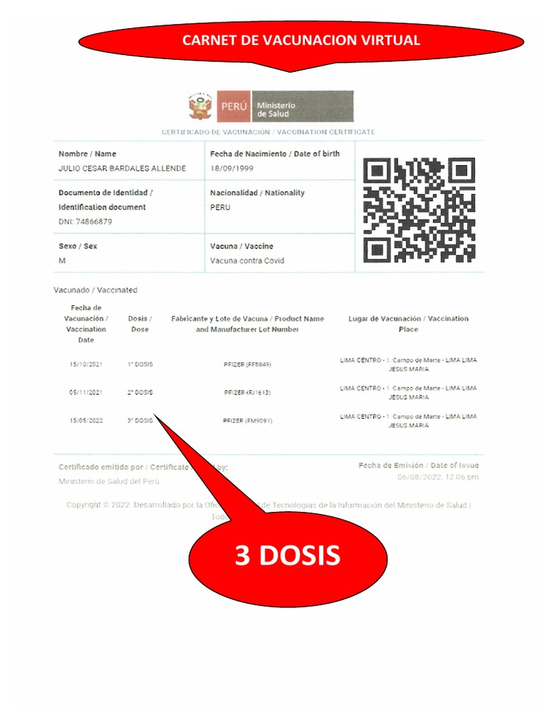 Modelo Carnet de Vacunacion y Fichas de Salud | PDF
