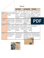 Rúbrica de Foro-S12-Actualizada