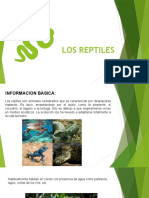 Los Reptiles - Adrian - PPTX - Autorecuperado