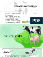 Brucelosis Cistercercosis