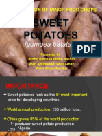 DYA20044 CHAPTER 3.2 Sweet Potato