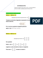 DETERMINANTES Resumen