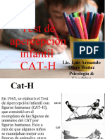 Explicación de Láminas CAT-H