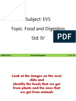 CB - IV - EVS - Food and Digestion 1