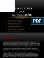 Asam Nukleat Dan Metabolisme - Kelompok 3