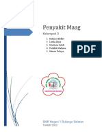 Materi Penyakit Maag (Akademi Perawat) 