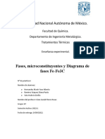 Fases, Micro y Diagrama de Fases Fe