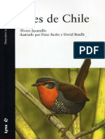 Aves de Chile Reducida - Jaramillo