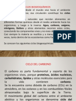 Ciclos biogeoquímicos: carbono, nitrógeno, agua, fósforo y azufre