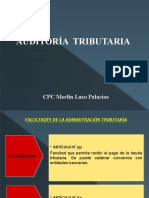 Auditoria Tributaria 2