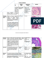 PDF Cuadro de Tinciones Compress 1