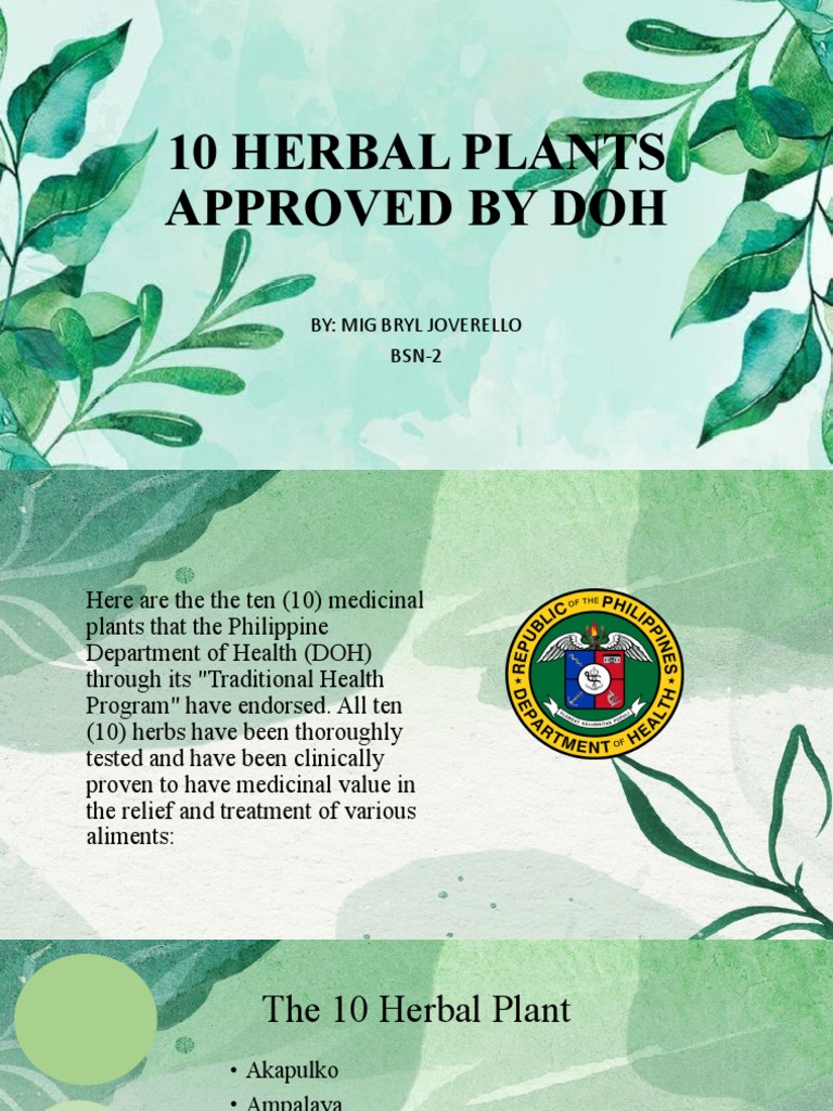 10 Herbal Plants CHN PDF Diarrhea Health Sciences