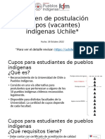 Resumen de Postulación A Cupos (Vacantes) Indígenas Uchile : para Ver El Detalle Revisar
