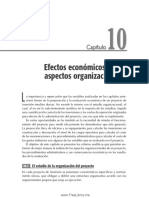 Efectos económicos de la estructura organizativa en proyectos de inversión