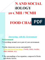 Presentation1 - Food Chain