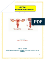 REPRODUKSI MANUSIA Pertemuan 2