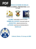 Investigacion de La Carrera