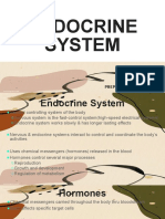 Endocrine System PPT Session 12-13