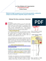 Práctica N°10 - Actividad