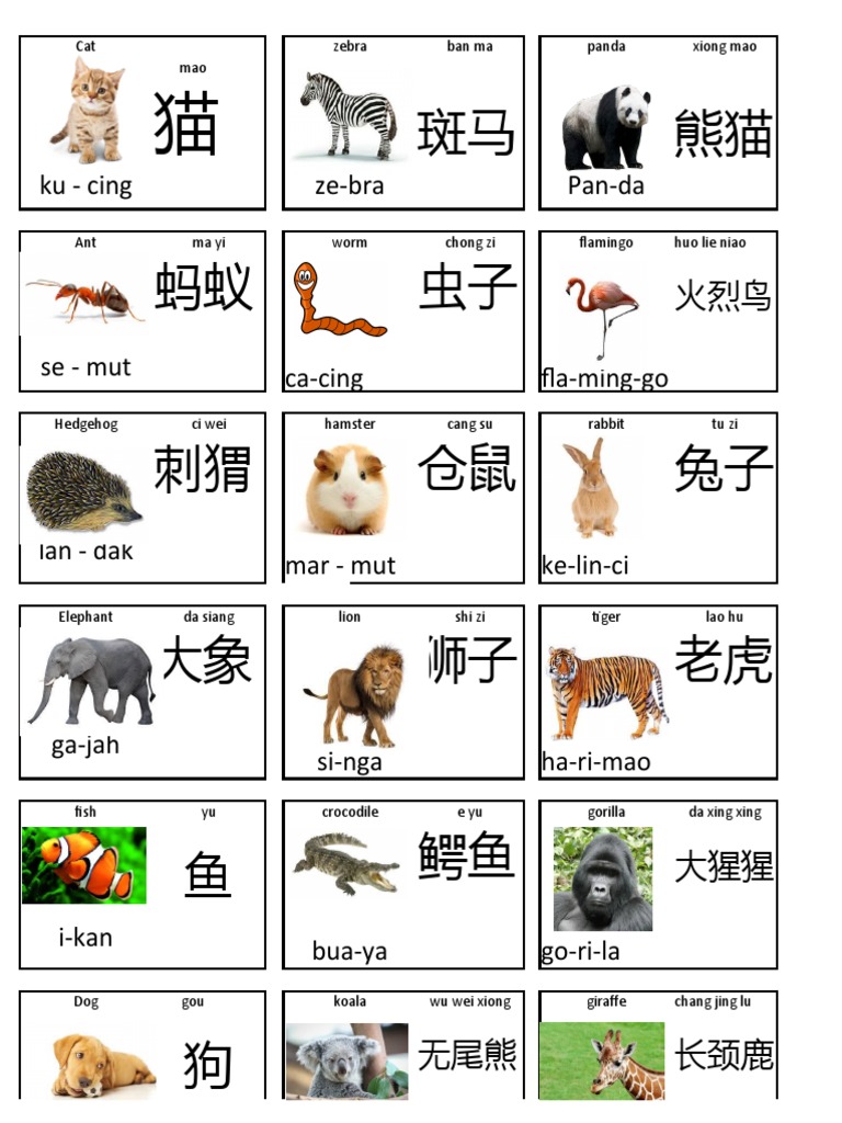 Mandarin PDF China World Politics