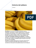 Origen e Historia Del Plátano