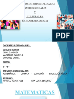 Proyecto Interdisciplinario Segundo - Pinasco