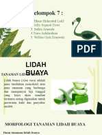 Lidah Buaya & Mahkota Dewa - Kel7B - Botani Farmasi