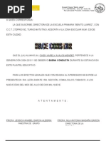 FORMATO MODELO EJEMPLO Carta de Buena Conducta  Política 