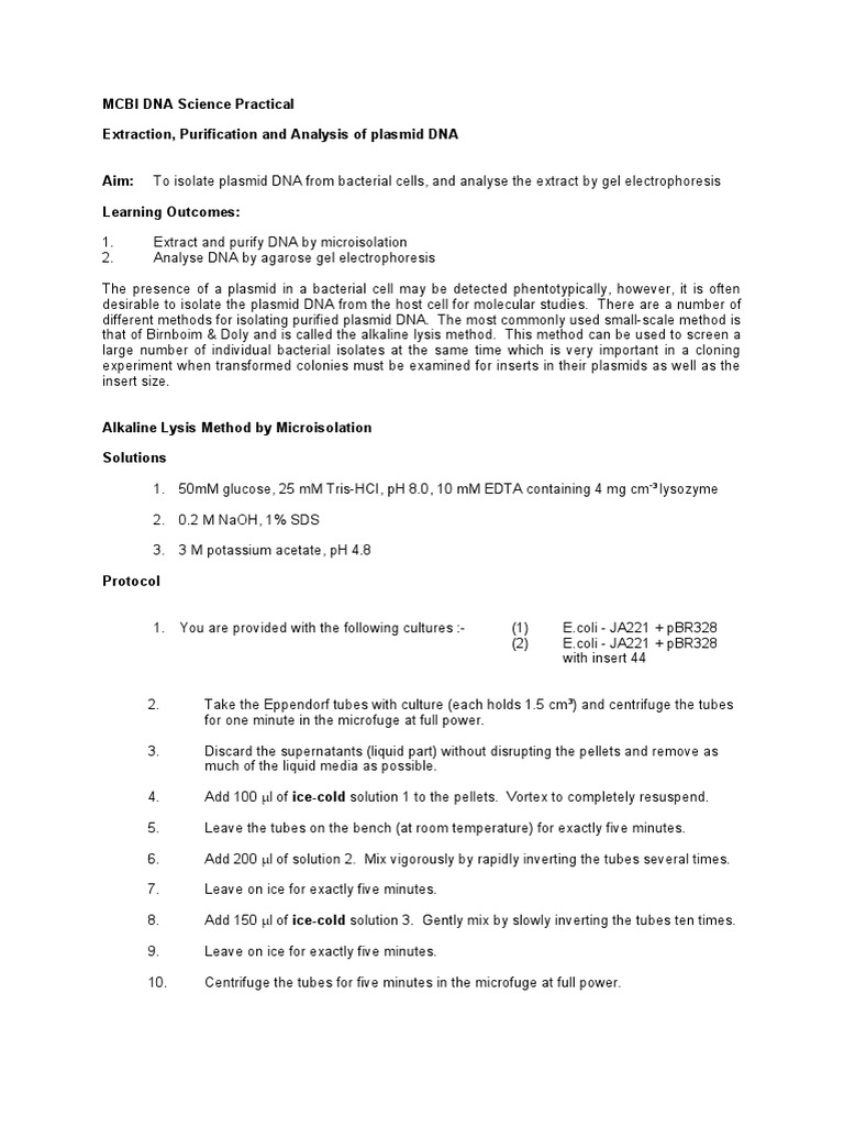 Plasmid DNA Isolation and Analysis | PDF | Agarose Gel Electrophoresis ...