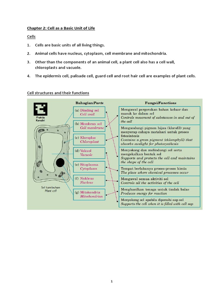 Chapter 2: Cell As A Basic Unit of Life | PDF