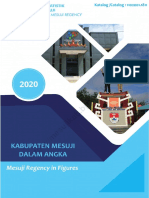 Kabupaten Mesuji Dalam Angka 2020