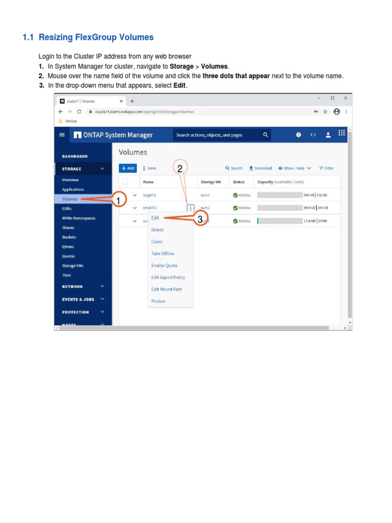 Resizing FlexGroup Volumes Guide | PDF
