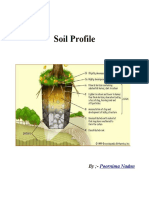 Soil Profile by Poornima Nadun