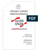 Silver Spark AEM 1