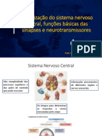 SNC: Funções básicas das sinapses e neurotransmissores