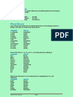 Singular and Plural Nouns