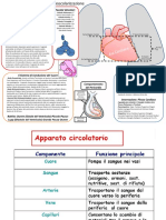 Apparato Cardiocircolatorio 2 e Linfatico