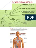 Apparato Cardiocircolatorio-1