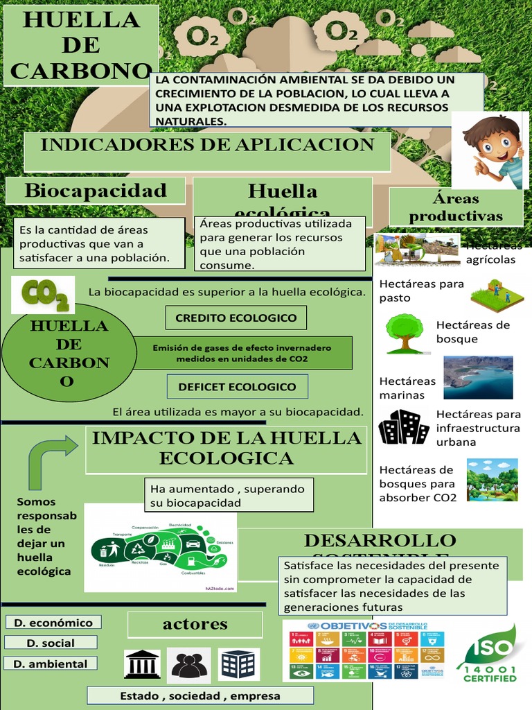 Infofrafia - Huella de Carbono | PDF | Economias | Entorno natural