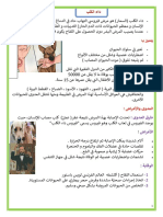 داء الكلب الأعراض و الوقاية Madrassatii Com