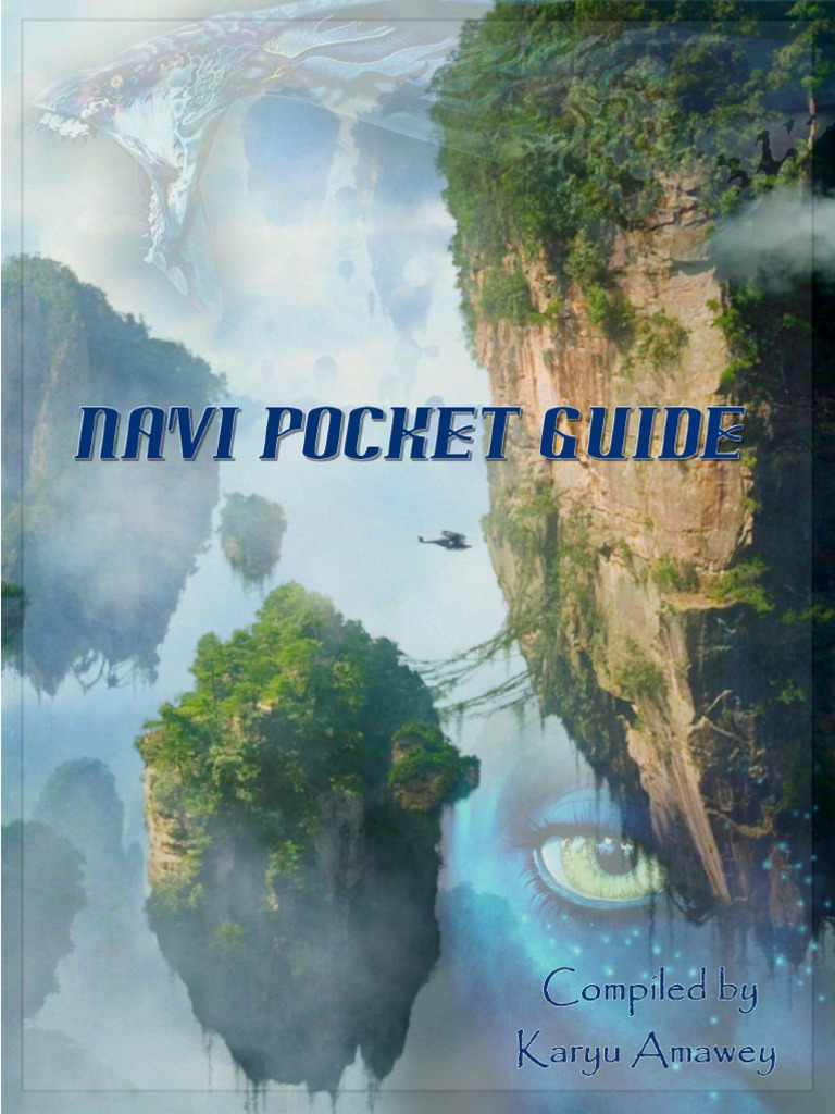 Learn Navi Pocket Guide PDF