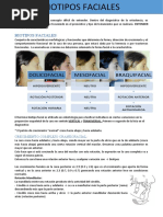 Tipos de Perfiles Faciales: Convexo, Cóncavo y Recto | PDF | Ciencia y ...