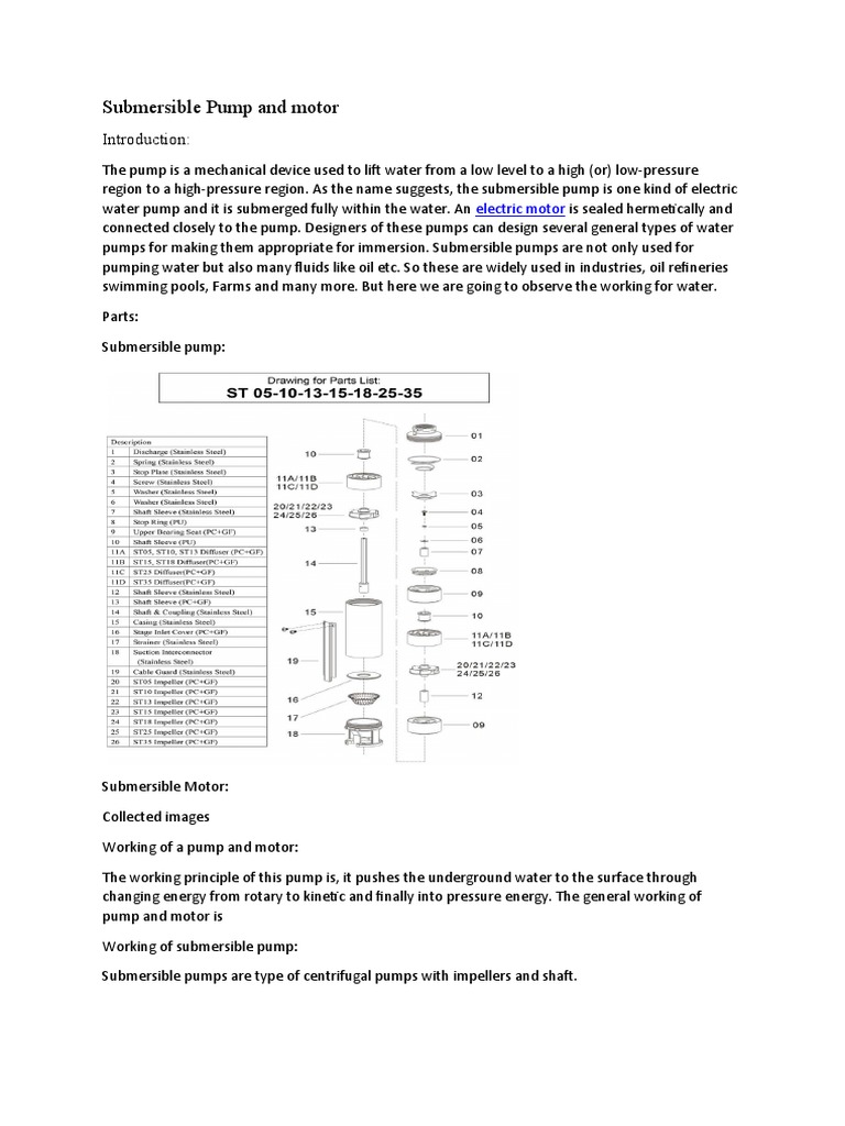 Submersible Pump and Motor Overview | PDF | Technology & Engineering