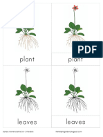 Botany Nomenclature Set - Print