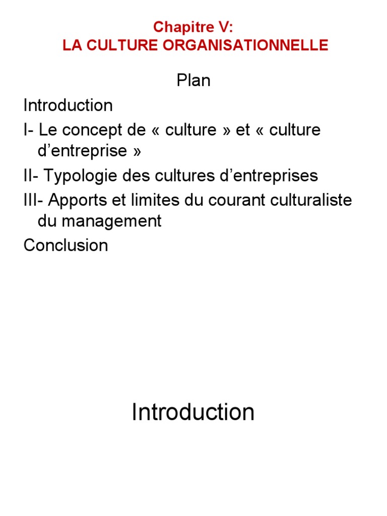 Comprendre la culture organisationnelle | PDF