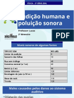 Audição Humana e Poluição Sonora